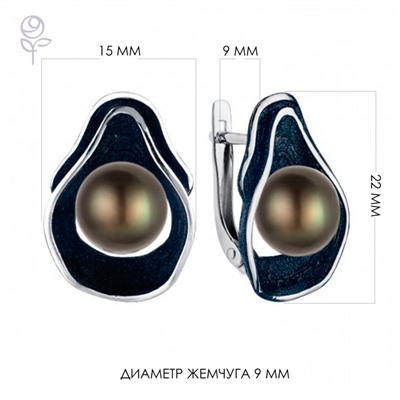 Серьги серебро 52818S2U