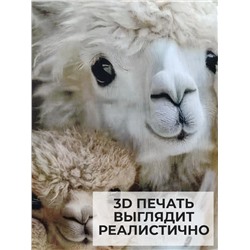 Наволочка декоративная Альпака 4