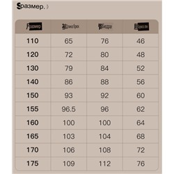 Спортивные штаны для девочек флисовые