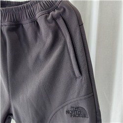 Спортивные утепленные брюки  THE NORTH FAC*E