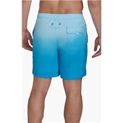 Graphite Stripe Core Volley Swim Trunks Calvin Klein