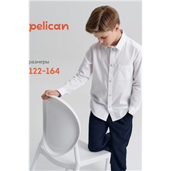 Рубашка PELICAN, 1188924