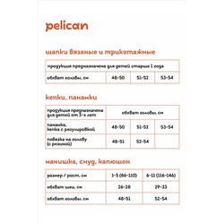 Кепка PELICAN, 853960