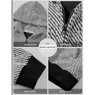 Мужская плотная толстовка на молнии Pau*l Fran*k