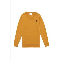 Erkek Çocuk Hardal Bisiklet Yaka Triko Kazak