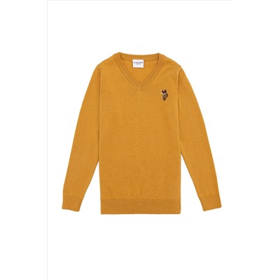 Erkek Çocuk Hardal Bisiklet Yaka Triko Kazak