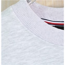 Мужской свитшот с вышивкой ТОММИ ХИЛФИГЕ*Р