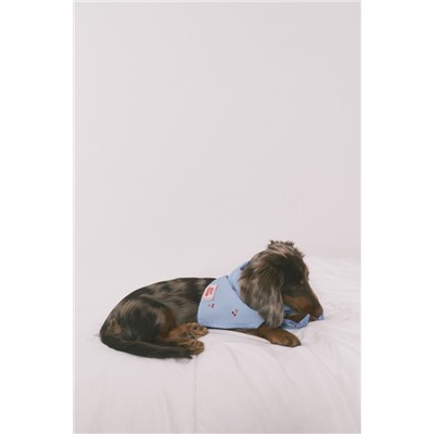 Bandana perro azul cerezas