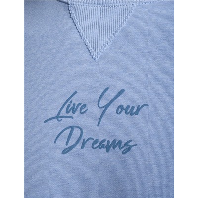 Джемпер из петельчатого футера двухнитки с эластаном