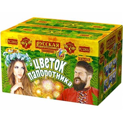 Фейерверк + фонтан РС2810 Цветок папоротника (1" х 34)