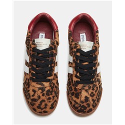 Hudsin Leopard