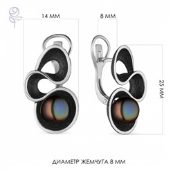 Серьги серебро 52849S2B