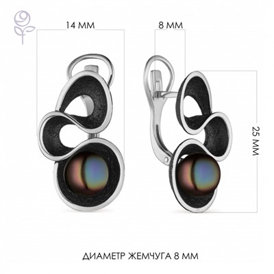 Серьги серебро 52849S2B