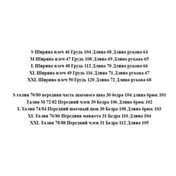 Мужской спортивный костюм ЭМПОРИО АРМАН*И