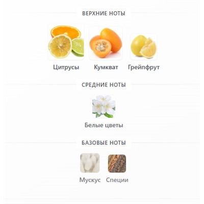 MONTALE SOLEIL DE CAPRI edp 100ml + стоимость флакона