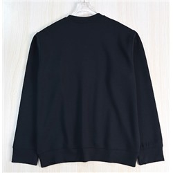 Мужская повседневная толстовка ЭМПОРИО АРМАН*И