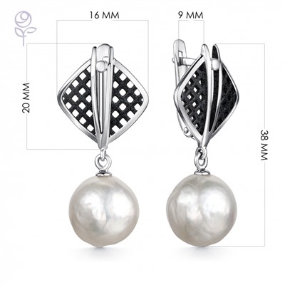 Серьги серебро 52864S6B