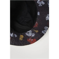 Sombrero ala ilustraciones