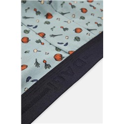 Dagi Gri Mavi 5210 Desenli Pamuk Boxer