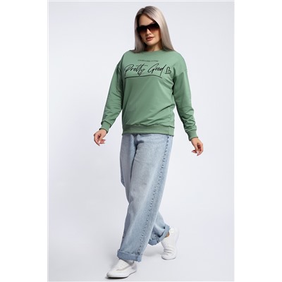 Толстовка 80048