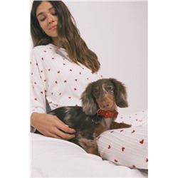 Collar perro rojo colgante cerezas