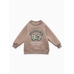 Толстовка футер начёс "Стейн" 30104