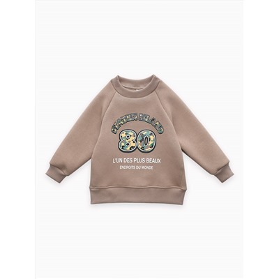 Толстовка футер начёс "Стейн" 30104