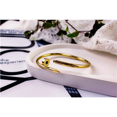 Стальной браслет Картье Гвоздь + Подарок