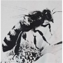 Женская хлопковая футболка ТОРИ БЕРЧ