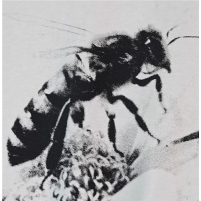 Женская хлопковая футболка ТОРИ БЕРЧ