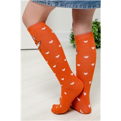 Гольфы детские Лисенок (набор 2 пары)