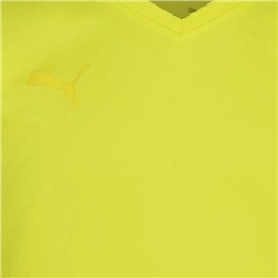 PUMA  PUMA teamFLASH Kinder Trikot 704395-23
