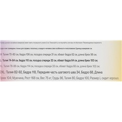 Мужские тёплые штаны с меховой изнанкой СК