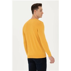 Erkek Hardal Basic Kazak