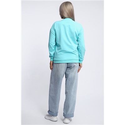 Толстовка 80047