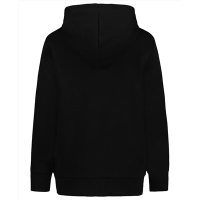 Calvin Klein Big Boys Puff Print Fashion Hoodie