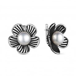 Серьги серебро 52856S1B