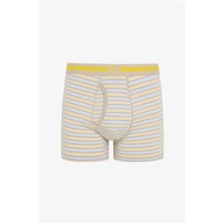 Penti Erkek Pamuklu Yellow Stripe Çok Renkli 3lü Boxer Külot