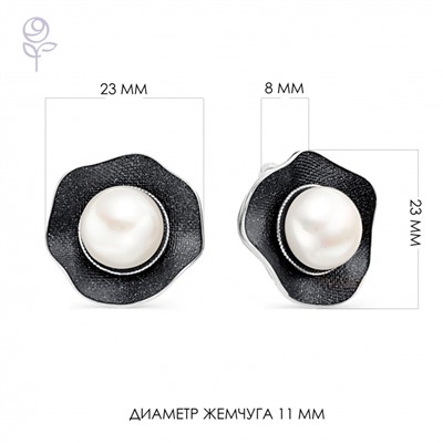 Серьги серебро 52804S1B