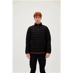 Bad Bear Domınıc Puffer Nıght