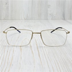 FE00847 - Оправа LINDBERG 5509 Titanium gold