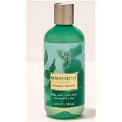 Eucalyptus Spearmint Body Wash & Foam Bath