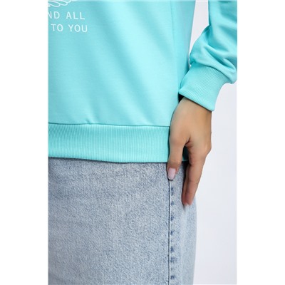 Толстовка 80047