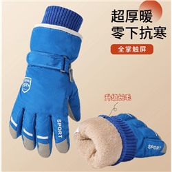 Горнолыжные перчатки (15-18 лет)