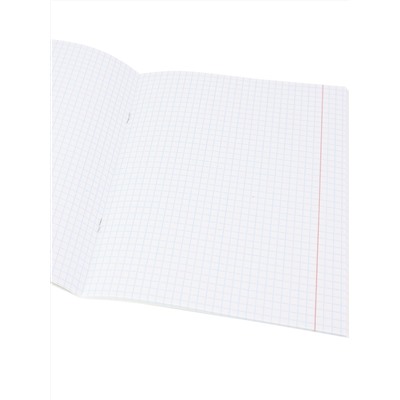 Тетрадь КЛЕТКА 48л. АНГЛИЙСКИЙ ЯЗЫК «МАНГА» (Т48-1486) стандарт, твин-лак