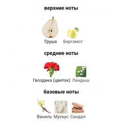 MONTALE WILD PEARS edp 100ml + стоимость флакона