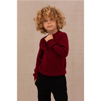 Erkek Çocuk Bordo Basic Bisiklet Yaka Kazak