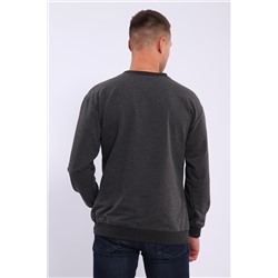 Лонгслив мужской футер двухнитка, Арт. 810
