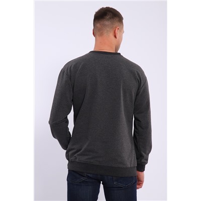 Лонгслив мужской футер двухнитка, Арт. 810