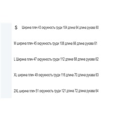 Мужская демисезонная куртка Mauntai*n